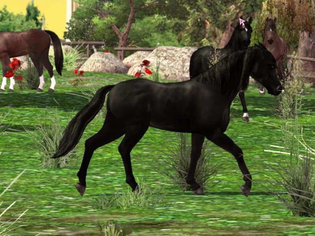 free horse games for mac